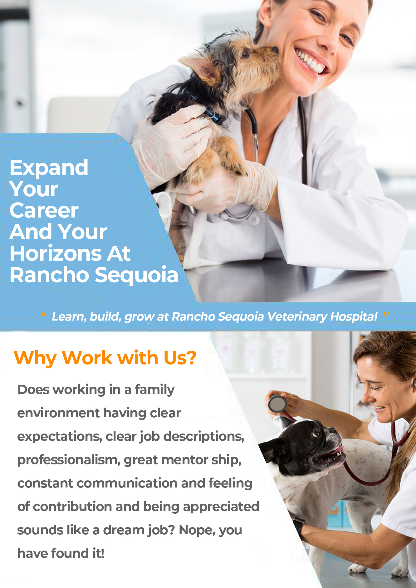 Careers | Veterinarian in Simi Valley, CA | Rancho Sequoia Veterinary  Hospital